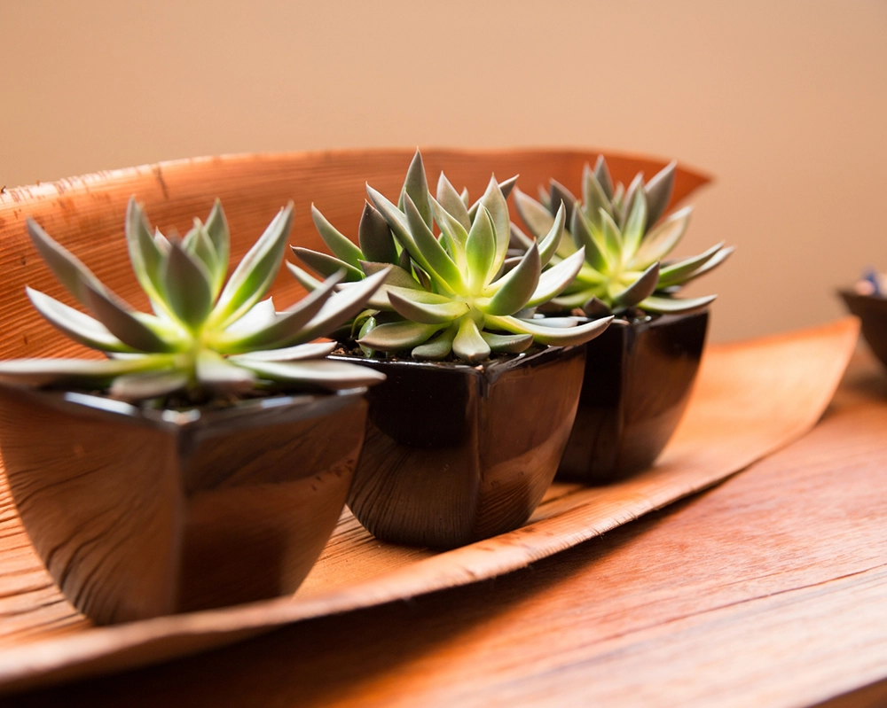 Lisa Champion (High Res)-56