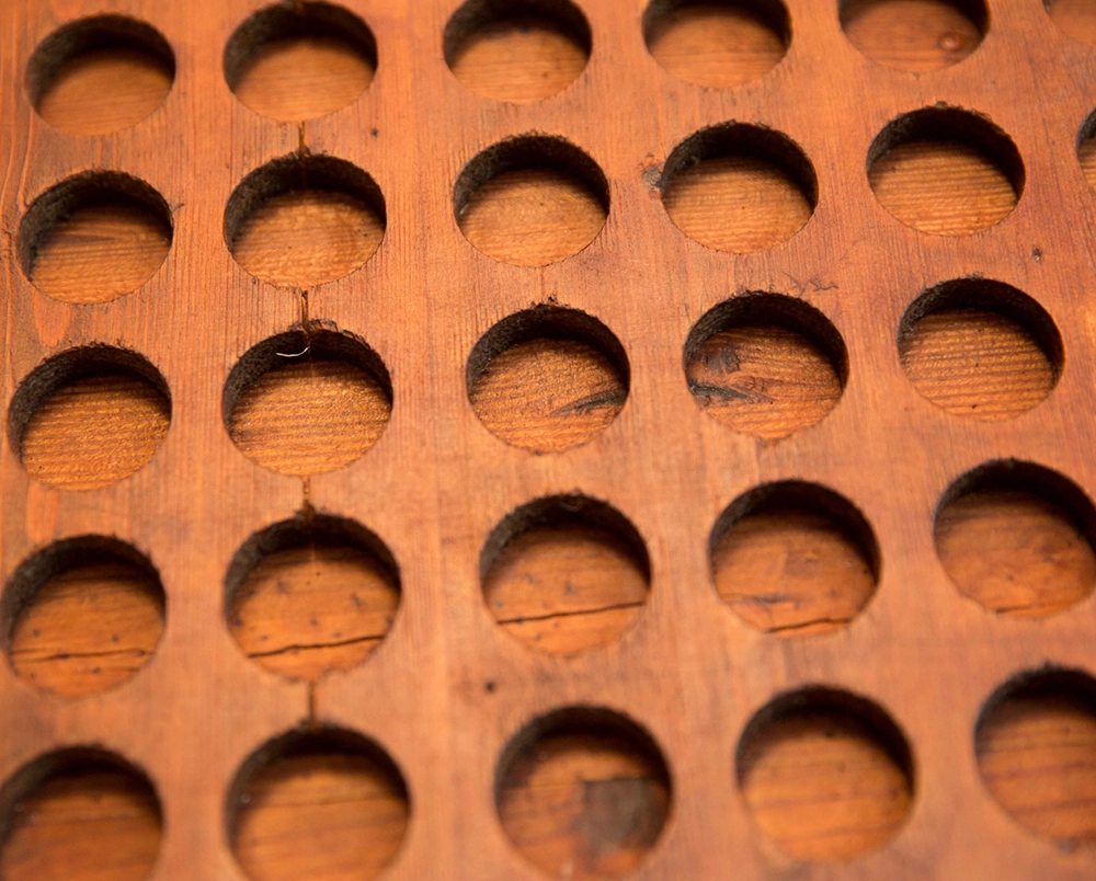 Lisa Champion (Low Res)-129