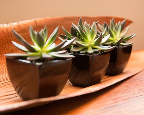 AB61111B-23A7-4FBE-A932-C1353653BA4F_1_105_c-12